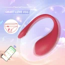 Smart-Control Vibro-ei