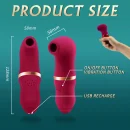 OralGenuss Saugvibrator Schwarz