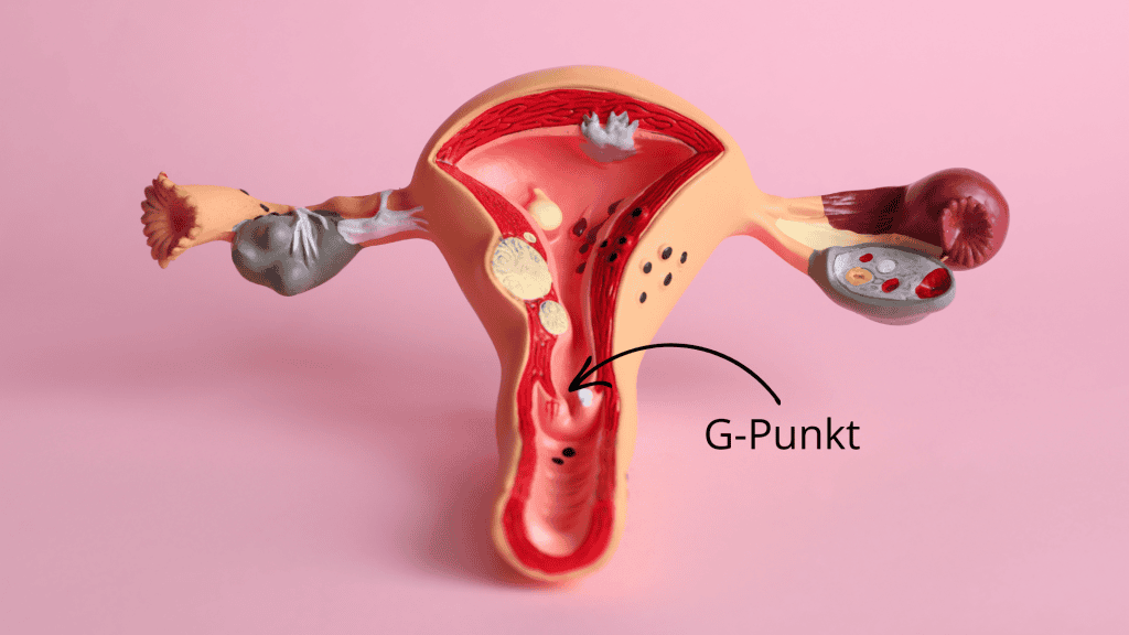 g-punkt