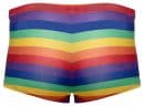 Herren Pants Rainbow L – Bild 6