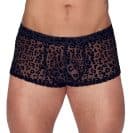 Noir H.Pants leo M – Bild 2