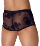 Noir H.Pants XL – Bild 3