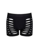 OBS H.Boxer S-L – Bild 3