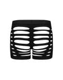 OBS H.Boxer S-L – Bild 4