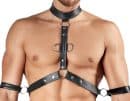 Herren Harness und Pants XL – Bild 5