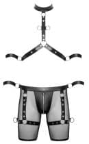 Herren Harness und Pants XL – Bild 7