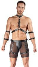 Herren Harness und Pants XL – Bild 2