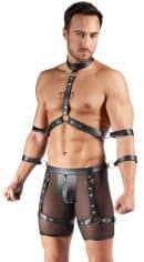 Herren Harness und Pants XL – Bild 3