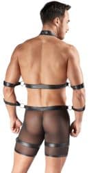 Herren Harness und Pants XL – Bild 4