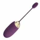 PRETTY LOVE - Abner, mobile app control, Bluetooth connect, silicone, USB Rechargeable, 12 functions of vibration ?:33mm L:75mm – Bild 2