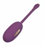 PRETTY LOVE - Doreen, 12 functions of vibration<br />3 electric shock<br />mobile app control<br />waterproof<br />USB rechargeable<br />silicone 32-190