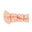 Crazy Bull Flesh 3D Vagina – Bild 5