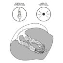 Streetgirl's #12 – Bild 6