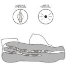 Streetgirl's #5 – Bild 7