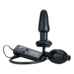 Fanny Hills Black Butt Plug