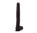 X-MEN Marcus's 17 inch Cock Black – Bild 4