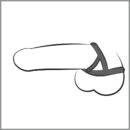 Bad Kitty TPR Ring – Bild 7