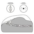 Streetgirl's #1 – Bild 8