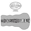 Alien's Pie Masturbator #2 – Bild 8