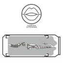 Pleasure Brew Masturbator-Cream Ale – Bild 2