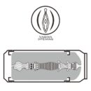 Pleasure Brew Masturbator-Blond Ale – Bild 3