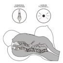 Streetgirl's #6 – Bild 8