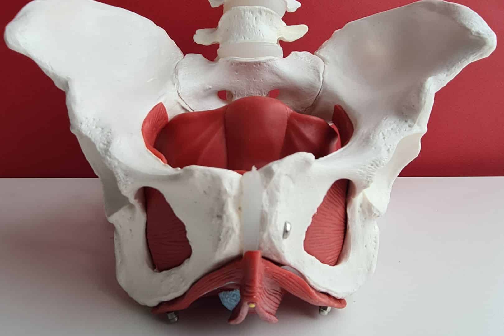 kugeln für beckenboden