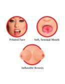 Dollz Brooke Le Hook Life-Size Love Doll  Light – Bild 5