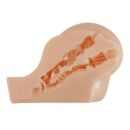 Crazy Bull Kylie – Bild 8