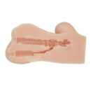 Crazy Bull Hannah Flesh – Bild 8