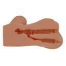 Crazy Bull Hannah Brown – Bild 7