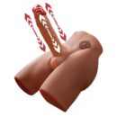 Jason Ass Masturbator and Dildo Thrusting – Bild 2