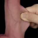 8'' Sliding Skin Pro II Dual Layer Silicone Dong – Bild 9