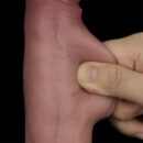 8.5'' Sliding Skin Pro II Dual Layer Silicone Dong – Bild 9