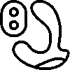 Prostata vibratoren