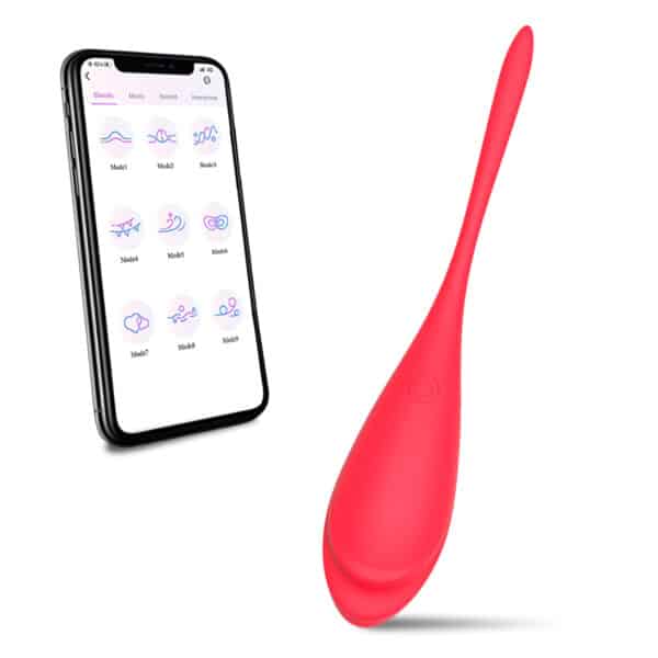 Smartes Vibratorei mit App