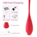 App-Gesteuertes Liebesei