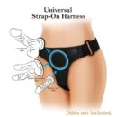 Pretty Love Bobby Harness Briefs – Bild 3