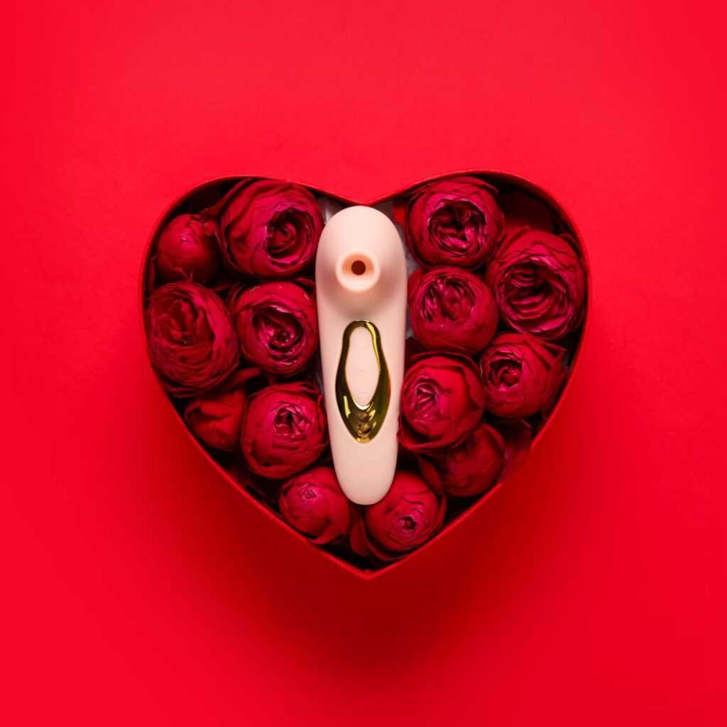 saugvibrator