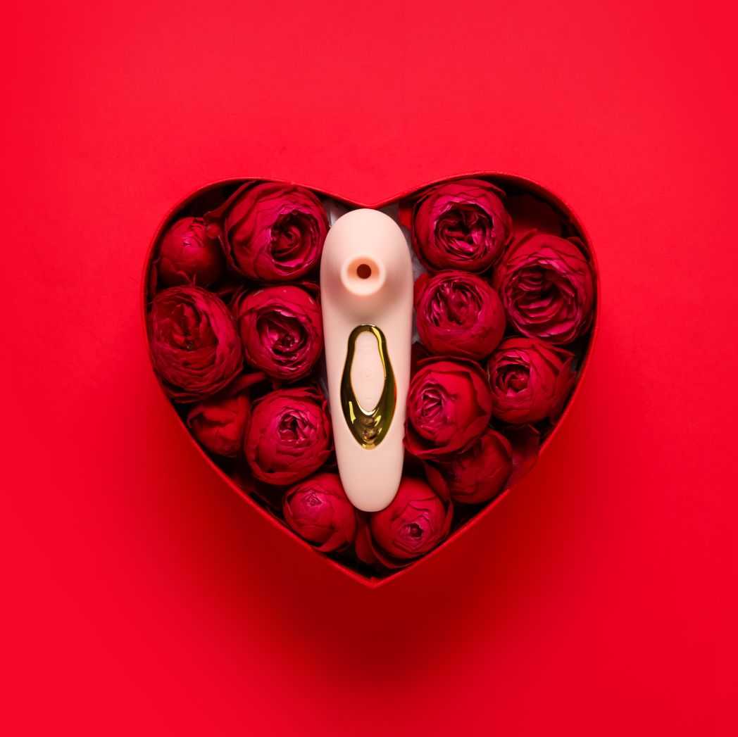 saugvibrator